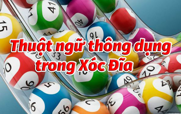 Các thuật ngữ thông dụng khi chơi xóc đĩa online