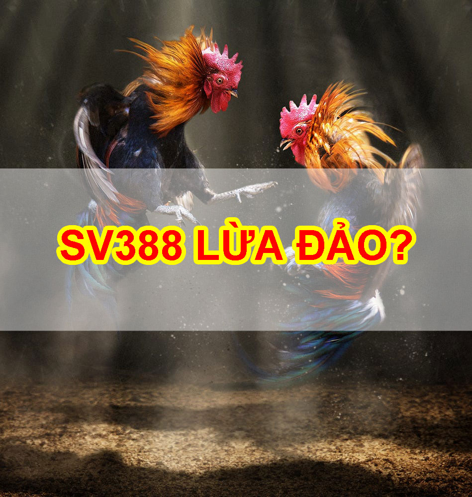 SV388 lừa đảo? Sự thật đằng sau thông tin này là gì?