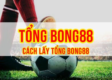 Tổng Bong88 – Cách lấy mạng tổng bong88