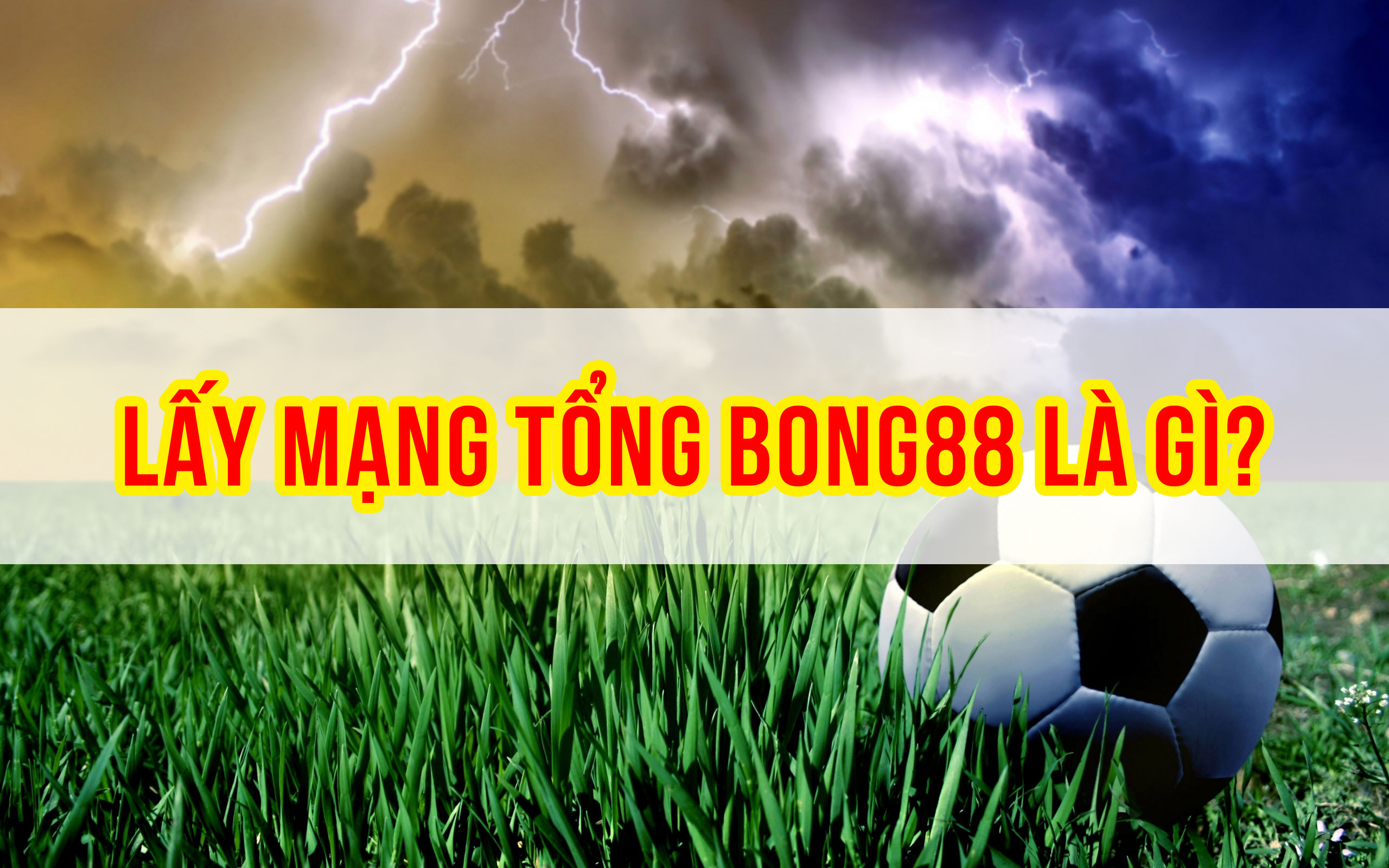 Lấy mạng tổng bong88 là gì?