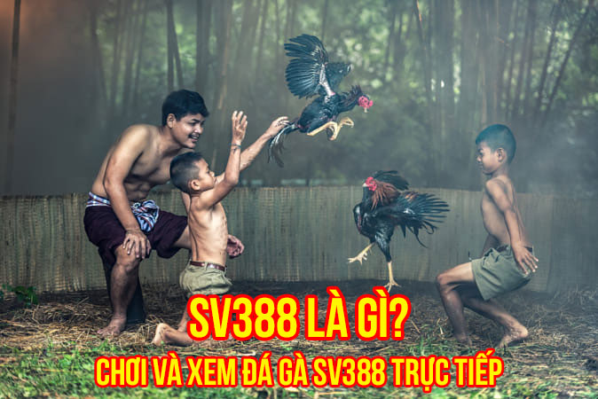 SV388 là gì? Cách chơi và xem SV388 trực tiếp