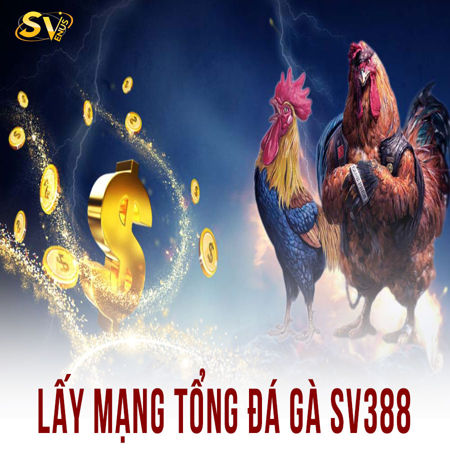 Lấy mạng tổng đá gà SV388 uy tín