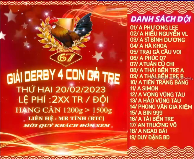 Giải Derby 4 con gà tre